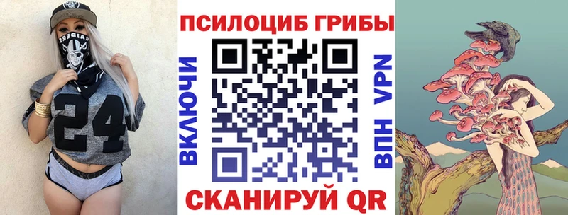 Псилоцибиновые грибы GOLDEN TEACHER  Красный Сулин 